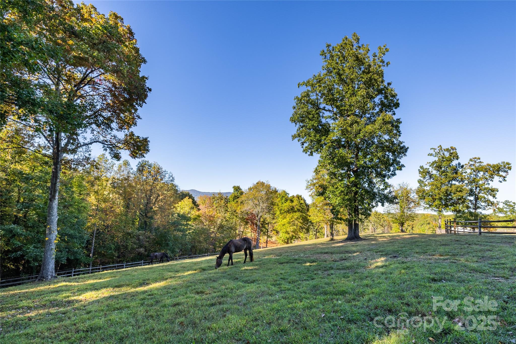 777 South River Road Tryon, NC 28782 - Photo 39 of 47 a view of a park with a tree