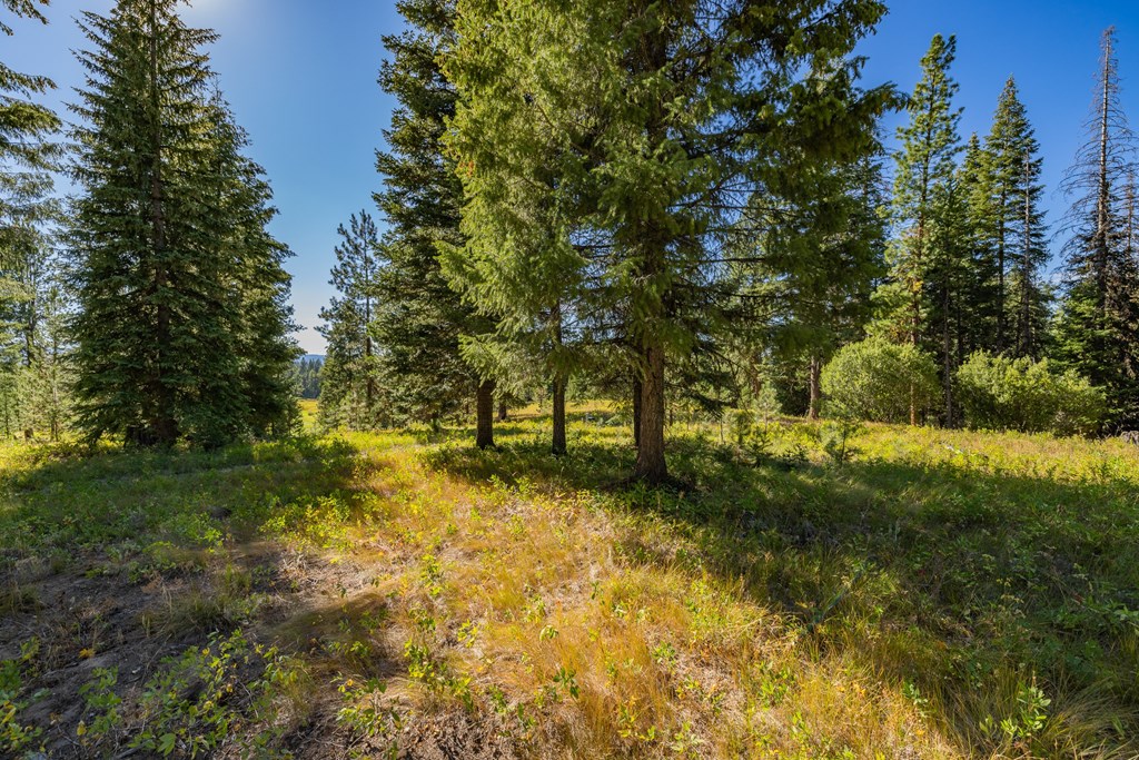 20 Vernon Court, Unit 4 McCall, ID 83638 - Photo 12 of 31