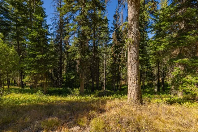 $233,000 | 20 Vernon Court, Unit 4, McCall, ID 83638