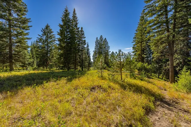 $233,000 | 20 Vernon Court, Unit 4, McCall, ID 83638