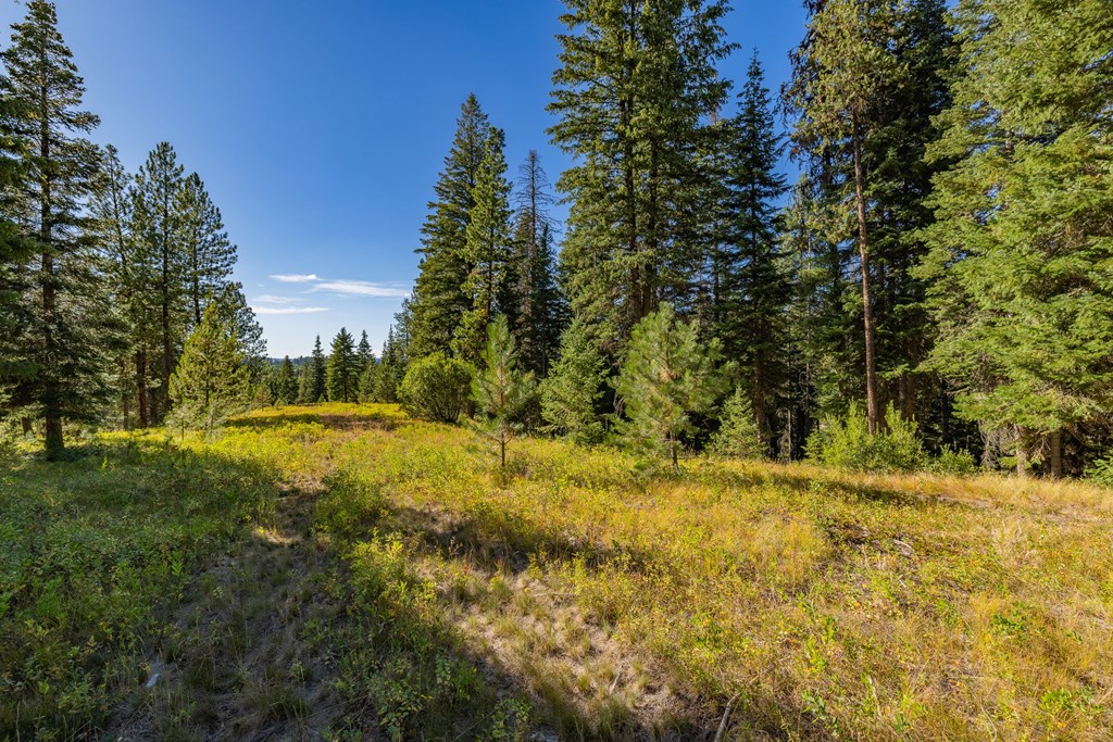 20 Vernon Court, Unit 4 McCall, ID 83638 - Photo 22 of 31