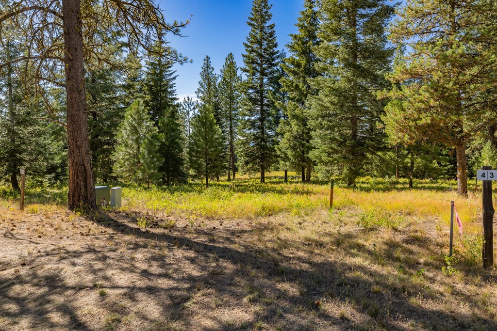 20 Vernon Court, Unit 4 McCall, ID 83638 - Photo 4 of 31