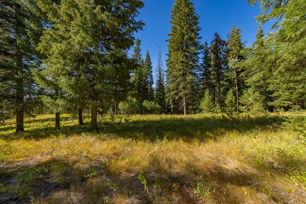 20 Vernon Court, Unit 4 McCall, ID 83638 - Photo 6 of 31