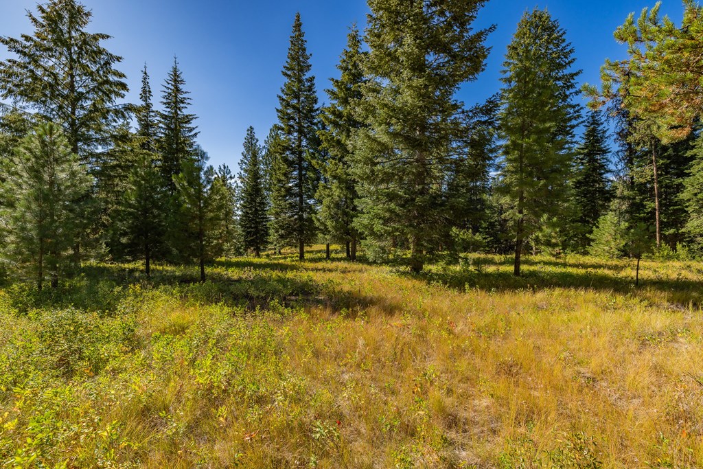 20 Vernon Court, Unit 4 McCall, ID 83638 - Photo 10 of 31