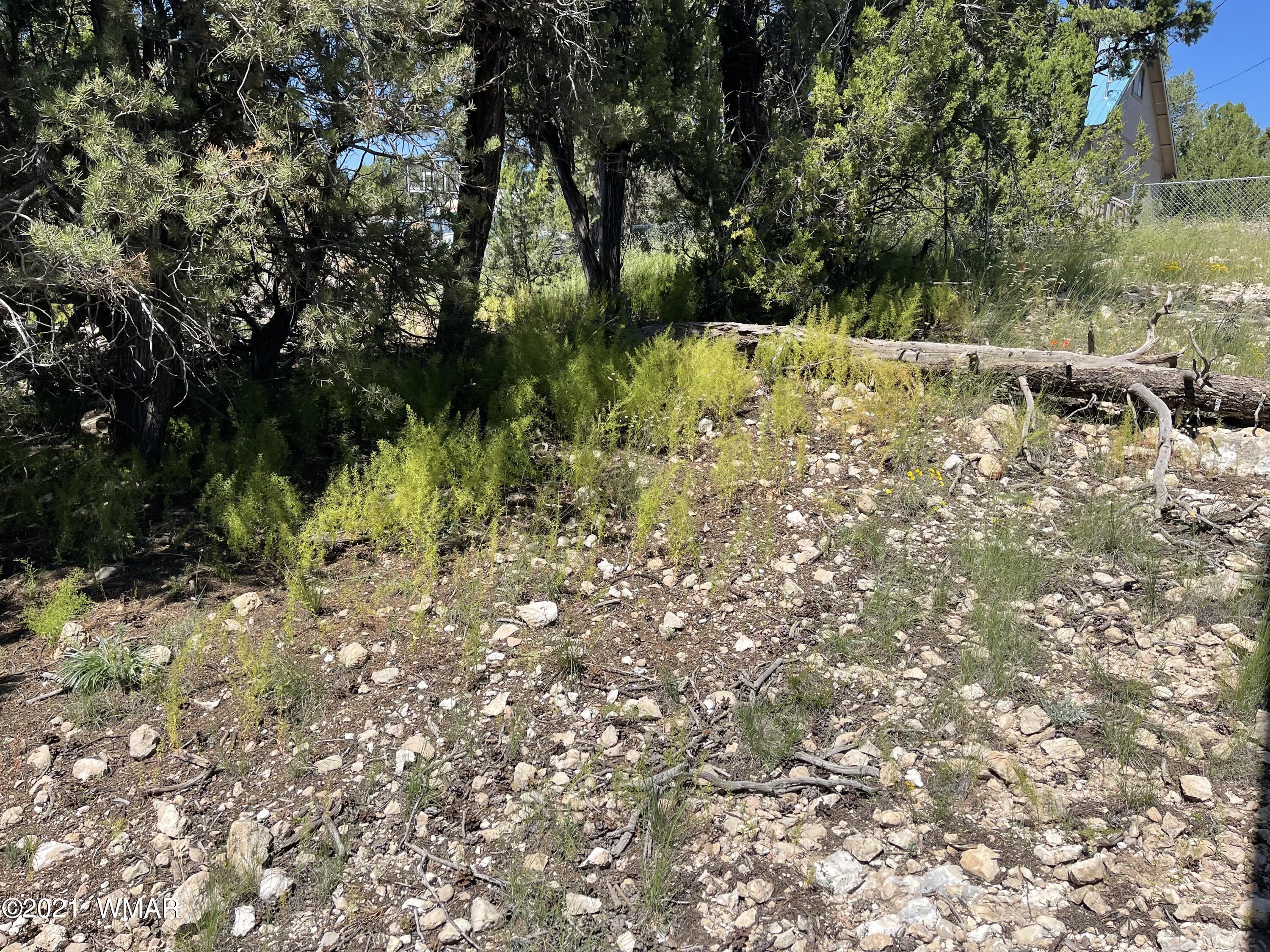 3509 Pine Rim Drive, Unit 7 Overgaard, AZ 85933 - Photo 3 of 4