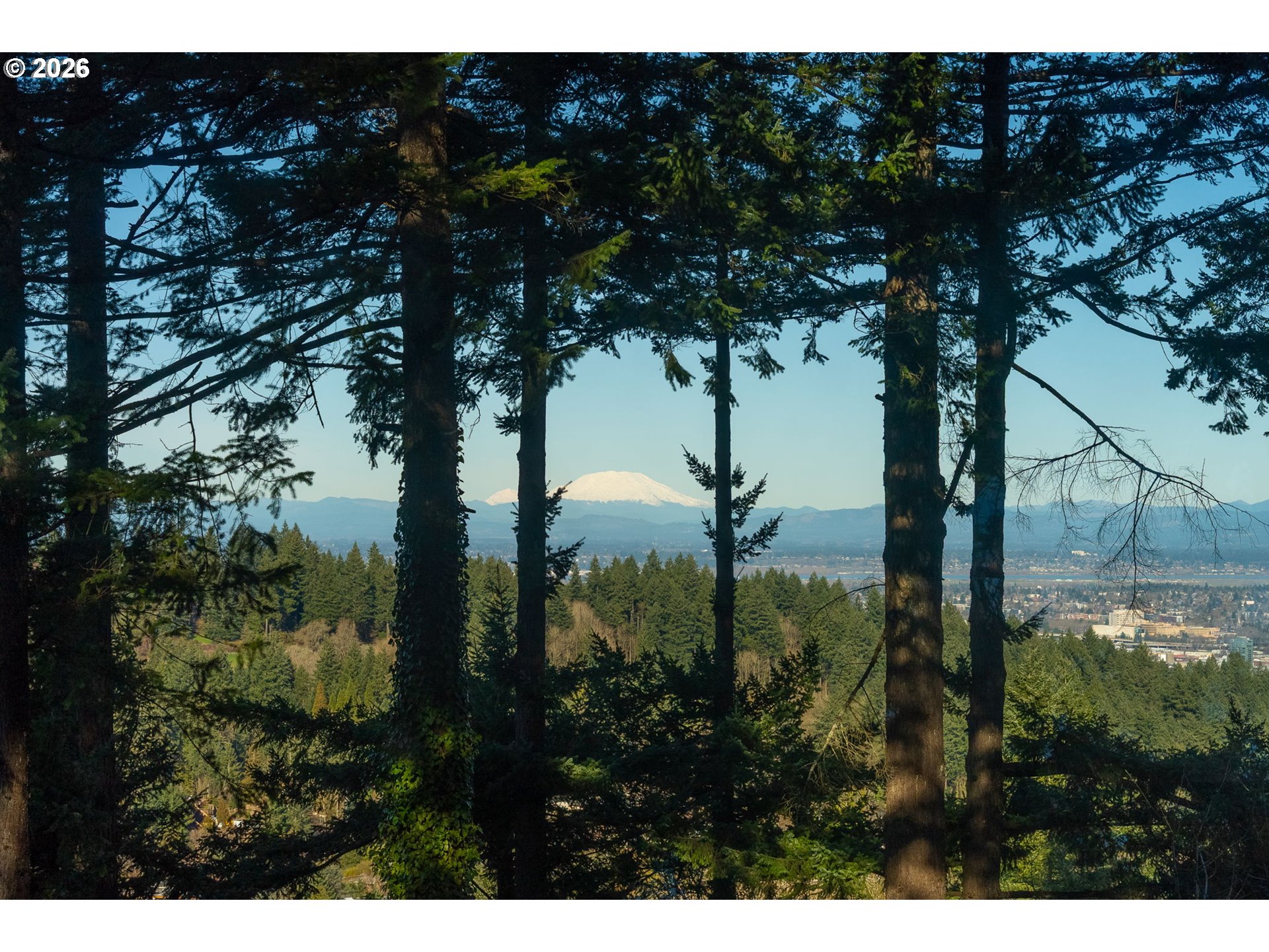 4183 Southwest Greenleaf Drive Portland, OR 97221 - Photo 4 of 48