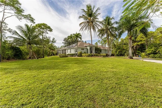 a view of a yard with a house and palm trees