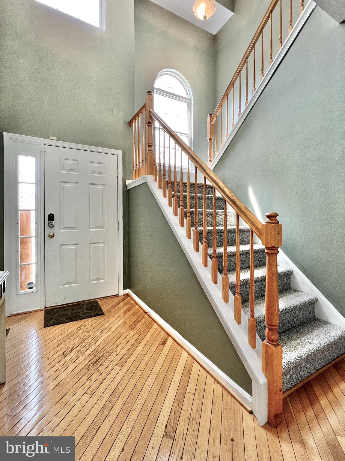 104 Threadleaf Terrace Burlington, NJ 08016 - Photo 13 of 28 Two story foyer