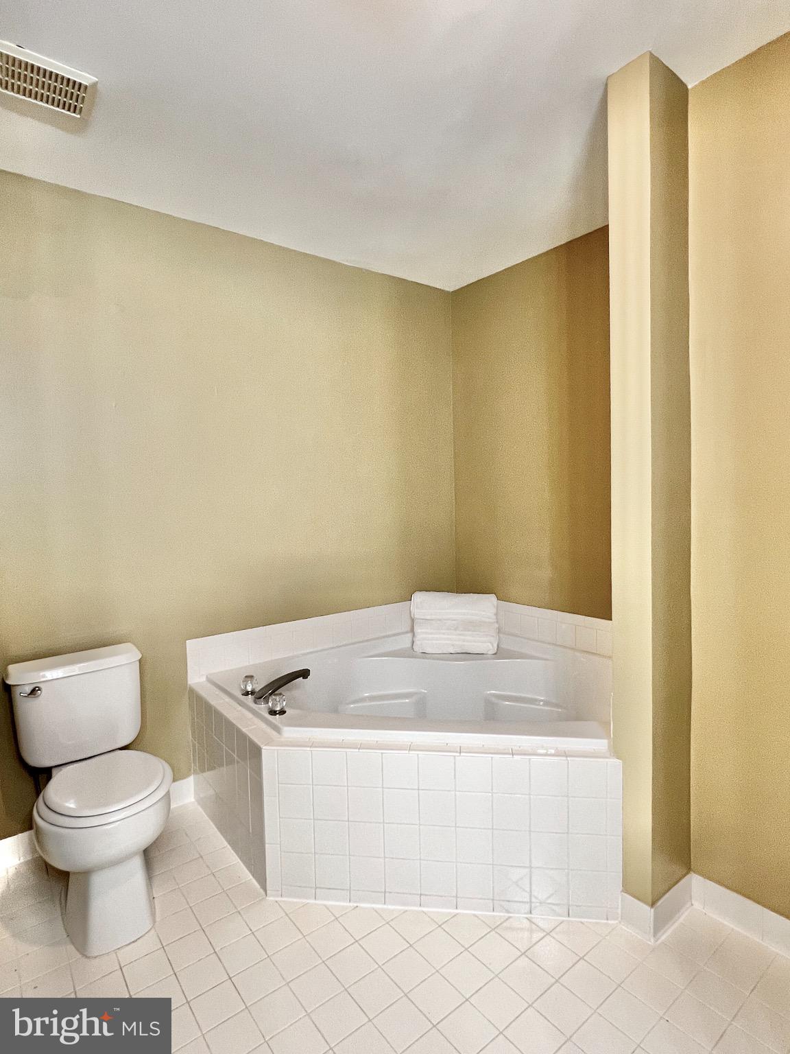 104 Threadleaf Terrace Burlington, NJ 08016 - Photo 18 of 28 Garden tub
