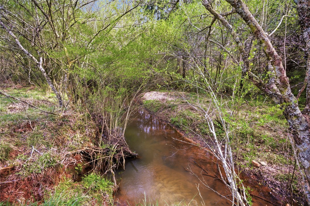 426 Oak Creek Road Seneca, SC 29678 - Photo 42 of 50 A tranquil stream meanders through a lush, verdant landscape, offering a serene natural escape.