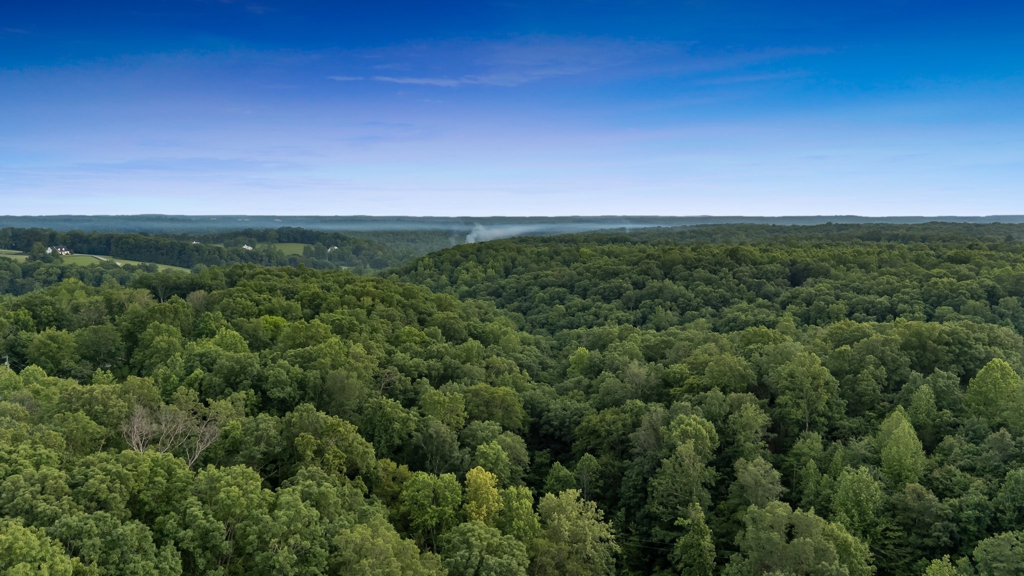 8000 Shoals Branch Road Primm Springs, TN 38476 - Photo 70 of 73 Gallery Image 70