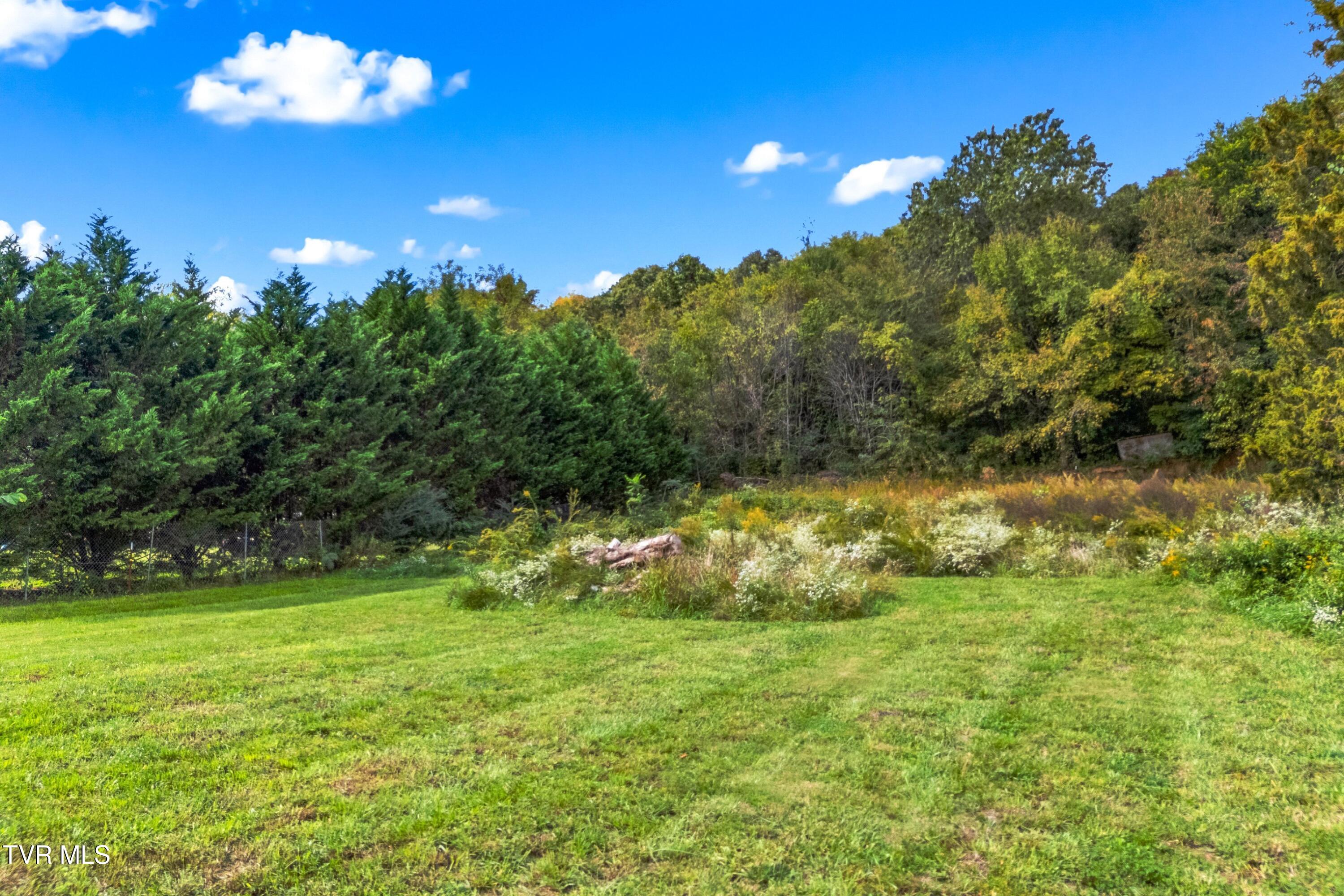 Undisclosed Address Bean Station, TN 37708 - Photo 2 of 10 004-LivingstonLane-TN-37809-SMALL