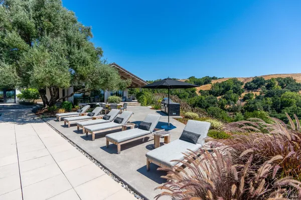 a view of a patio with couches table and chairs under an umbrella with large trees
