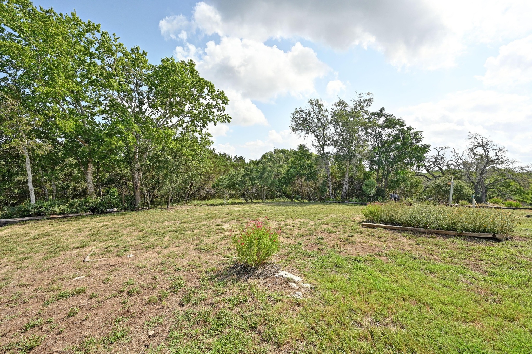 2018 Chaparral Park Road Manchaca, TX 78652 - Photo 11 of 14 a view of a field with trees