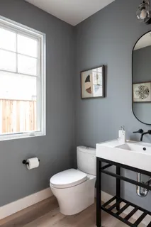 a bathroom with a toilet a sink and a mirror