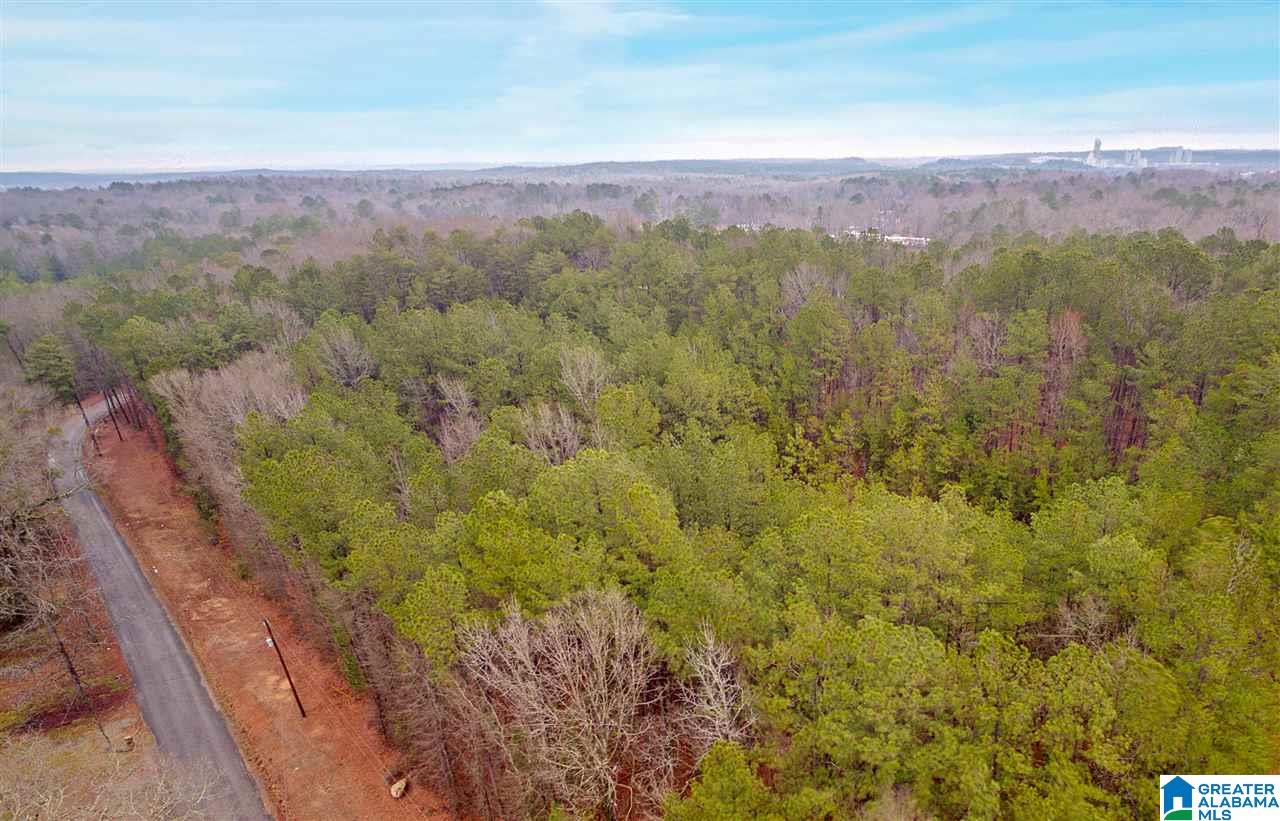 0 Clay Pit Road, Unit 7 AACRES ON CLAY PIT ROAD Montevallo, AL 35115 - Photo 3 of 7