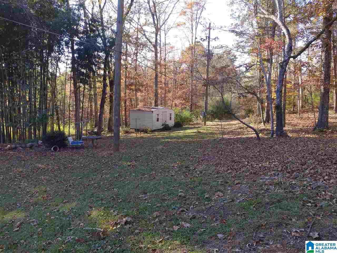 357 Murphrees Valley Road Springville, AL 35146 - Photo 25 of 27