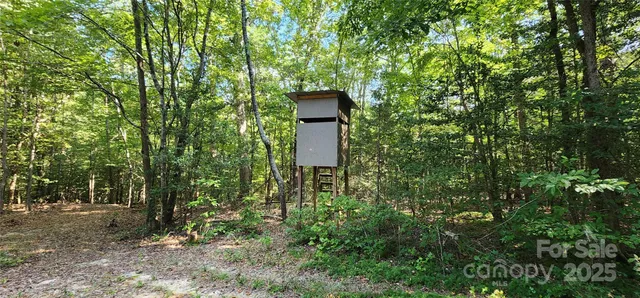 a view of swimming pool from a yard