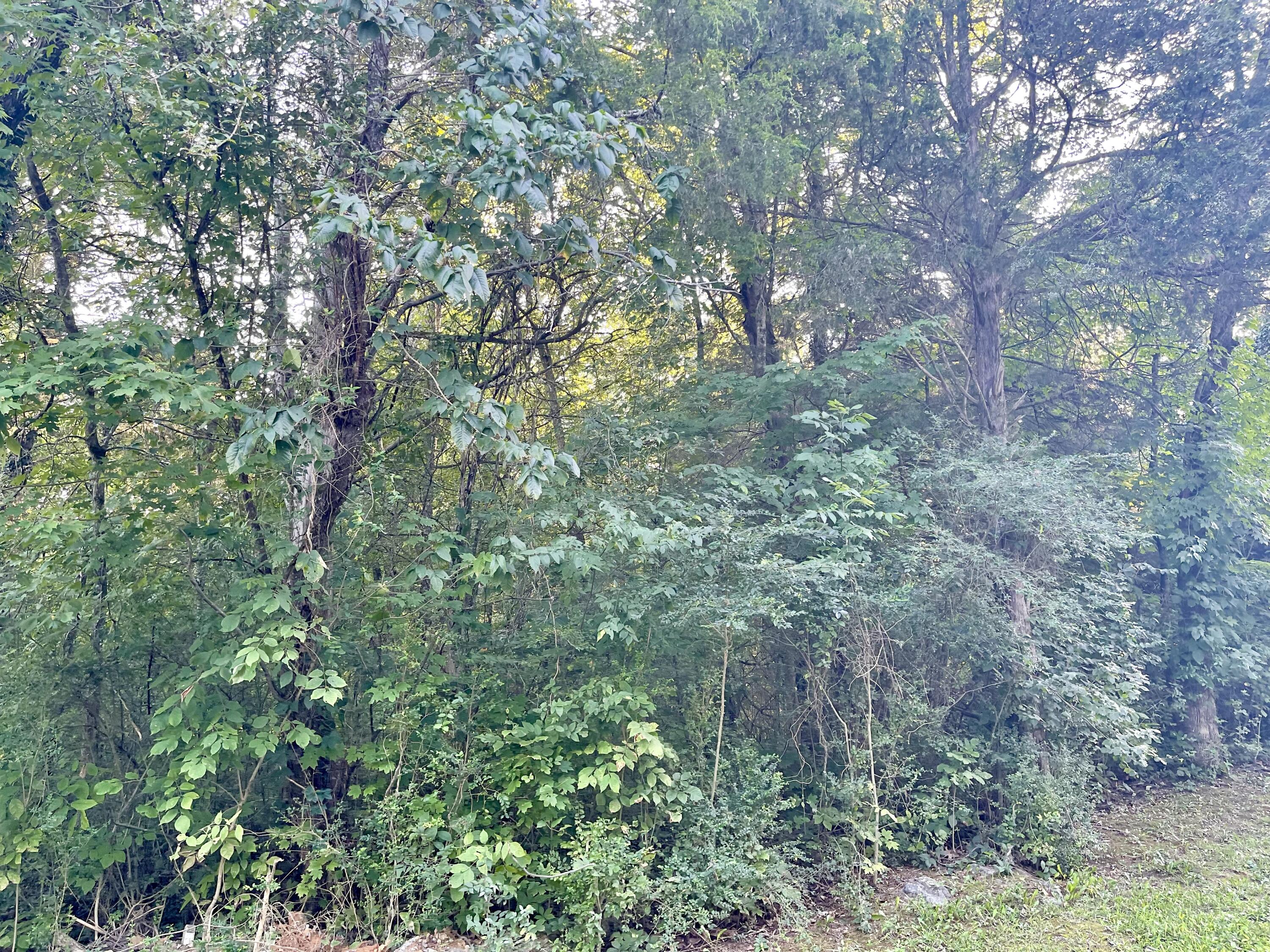 Tbd H R King Road Gray, TN 37615 - Photo 7 of 9 D39A761D-273A-4486-B186-394ACA92D2DA