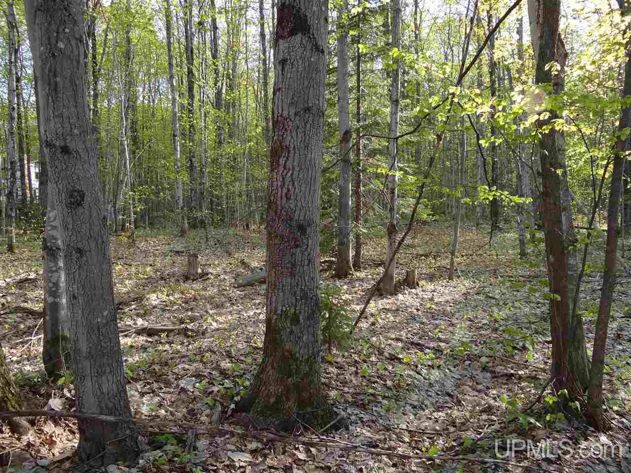 Tbd Rauhala Road, Unit PARCEL 7 Atlantic Mine, MI 49931 - Photo 13 of 15