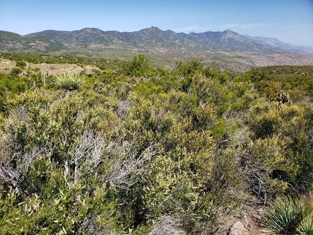 a view of mountains and valleys