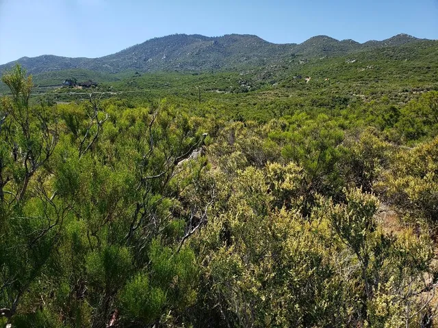 a view of a lush green hillside and a houses