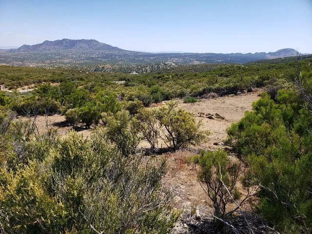 a view of a town with mountains in the background