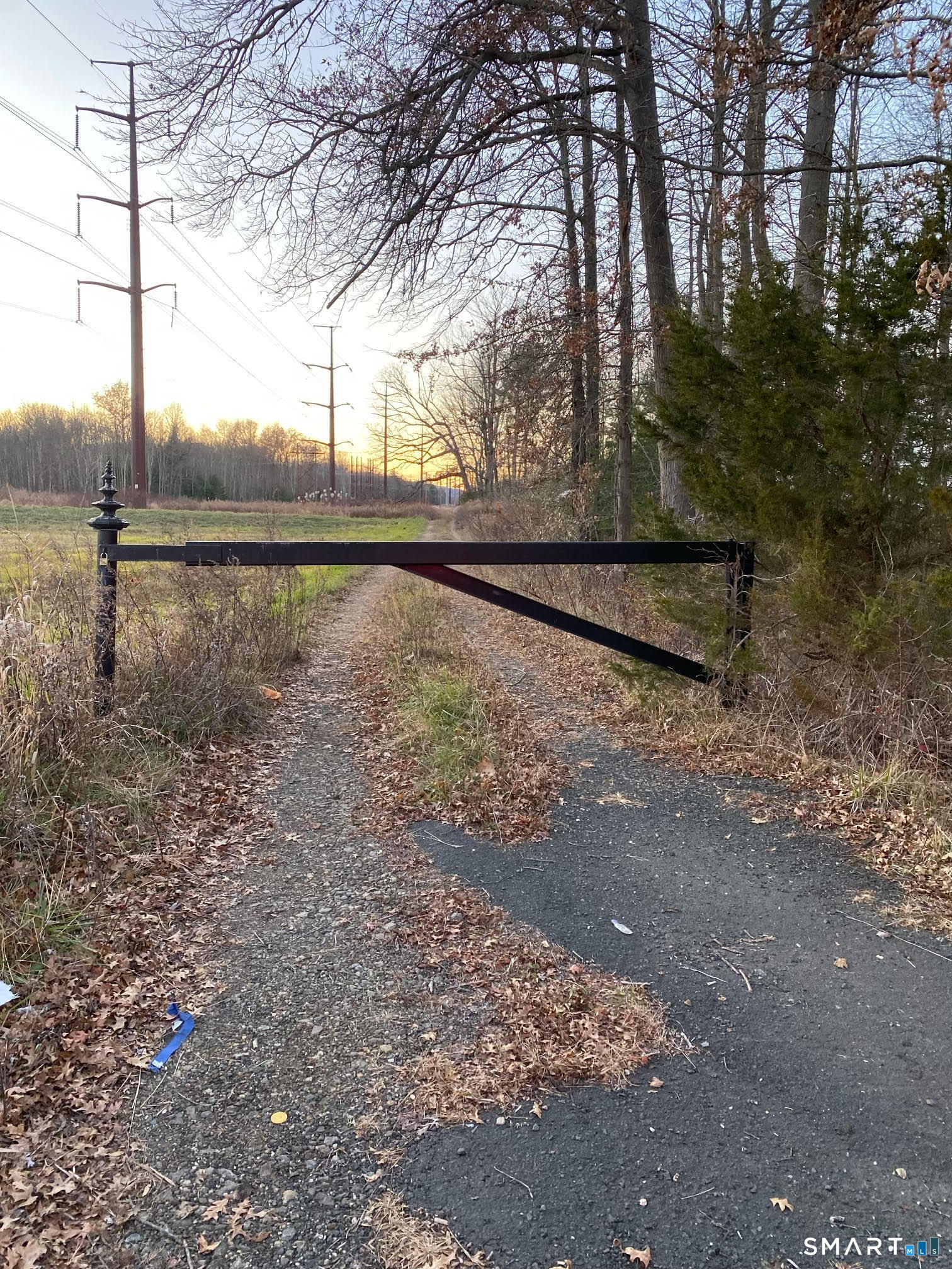 1211 R Blue Hills Avenue Bloomfield, CT 06002 - Photo 1 of 1 a view of a yard with a tree