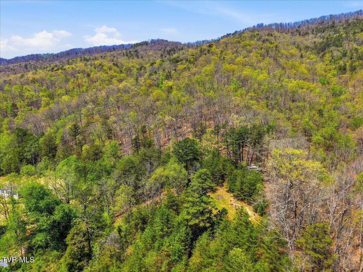 155 Barker Road Rogersville, TN 37857 - Photo 29 of 50 29-155_Barker_Rd_013