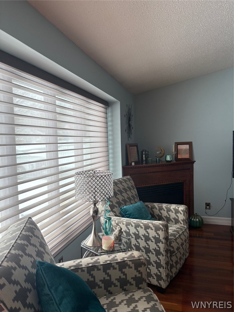8421 Forest Road Royalton, NY 14067 - Photo 4 of 35 The Living Room Has A Great Amount of Light