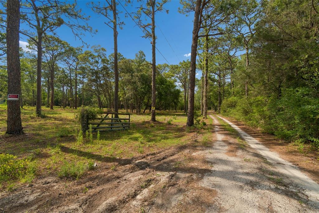 Grove Road Brooksville, FL 34613 - Photo 4 of 26