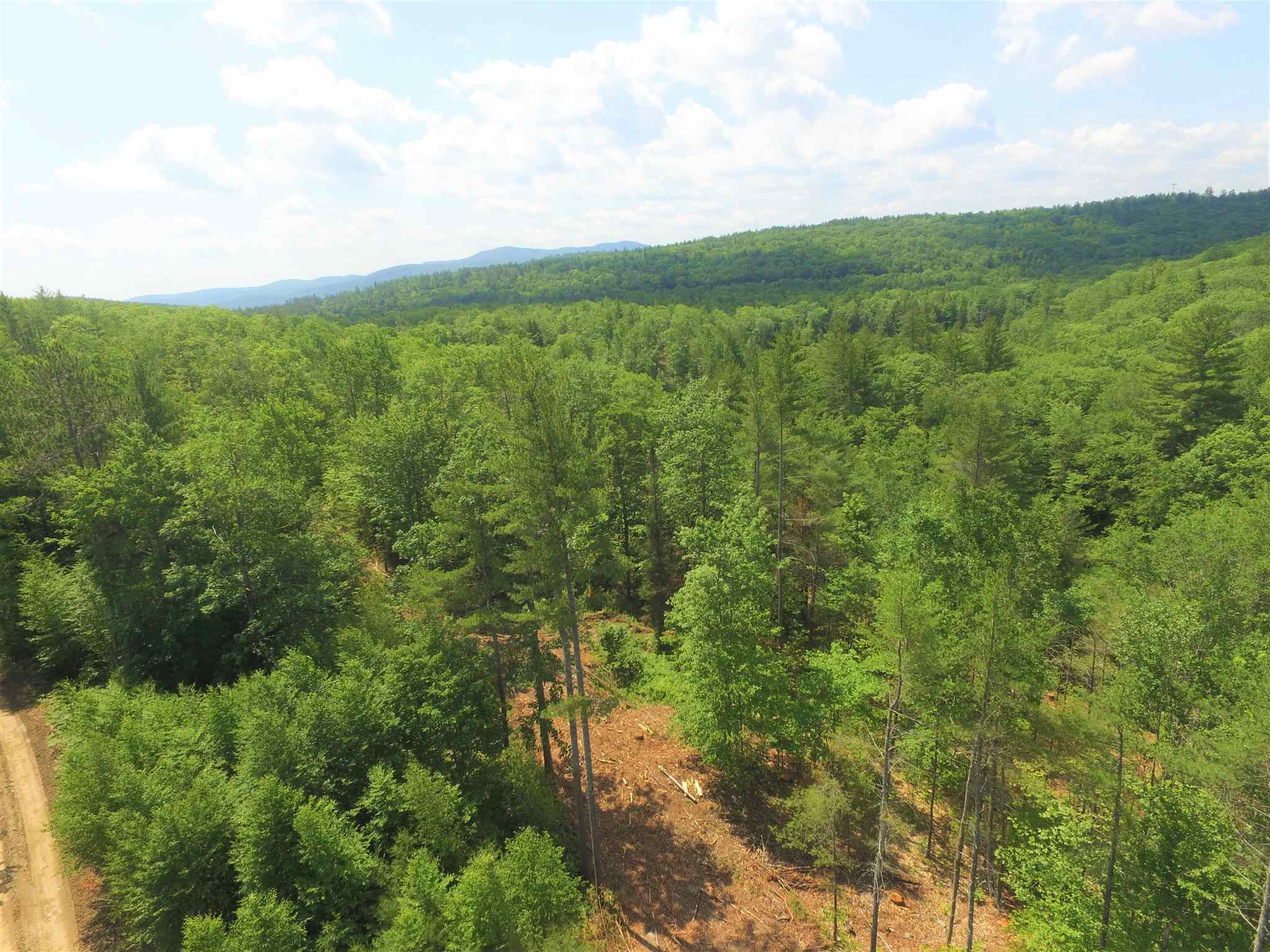 0 Beaver Pond Road North Sutton, NH 03260 - Photo 5 of 10