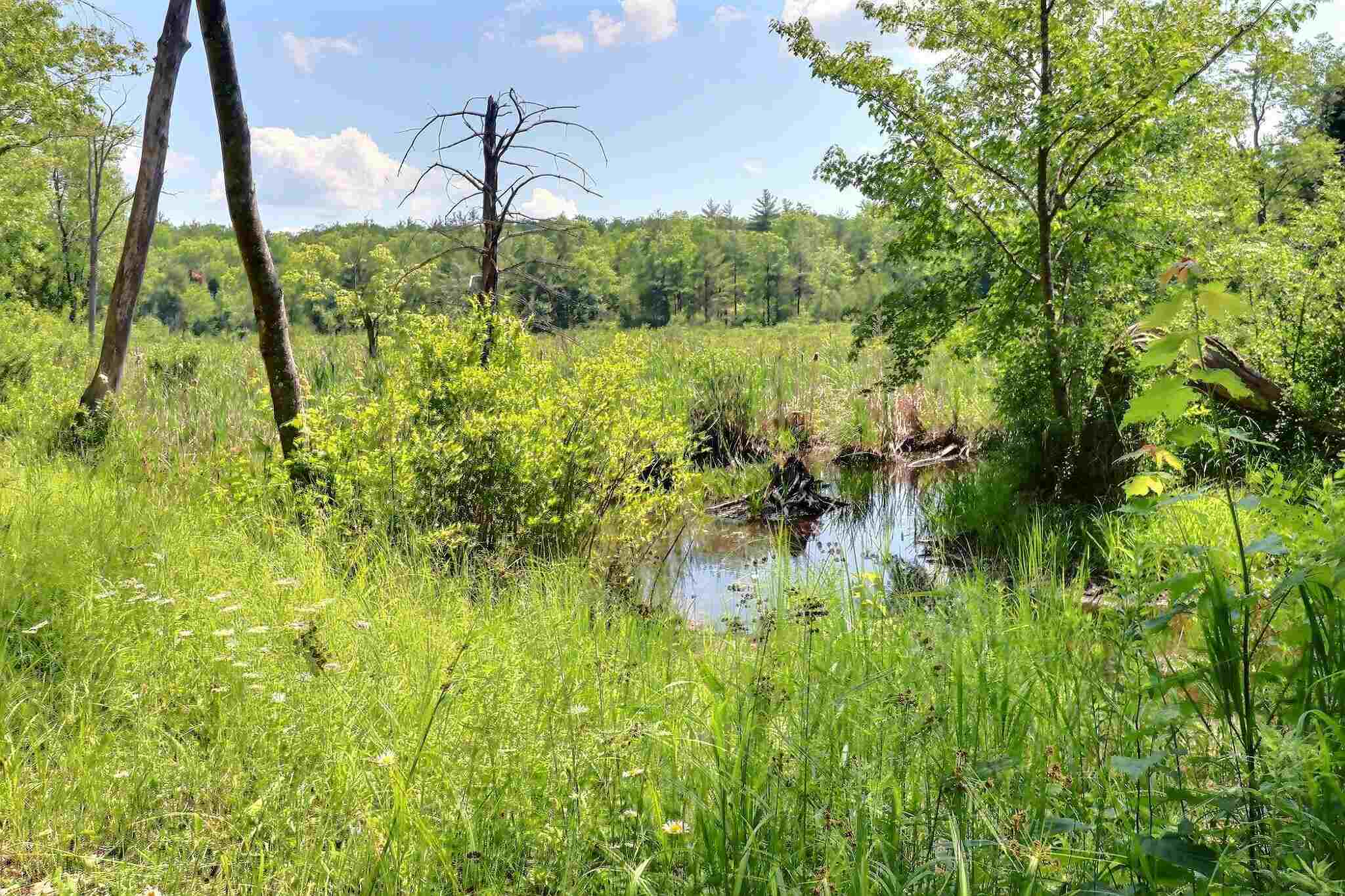 0 Beaver Pond Road North Sutton, NH 03260 - Photo 6 of 10