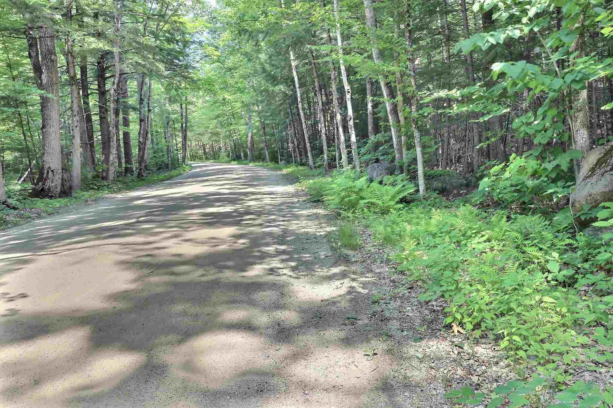 0 Beaver Pond Road North Sutton, NH 03260 - Photo 10 of 10
