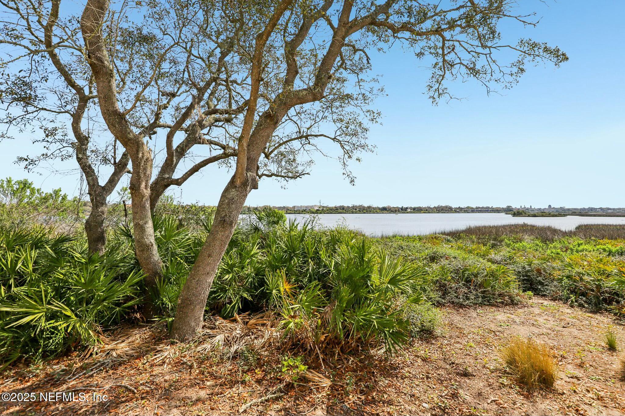 2102 Vista Cove Road St. Augustine, FL 32084 - Photo 38 of 40 a view of a yard with wooden fence