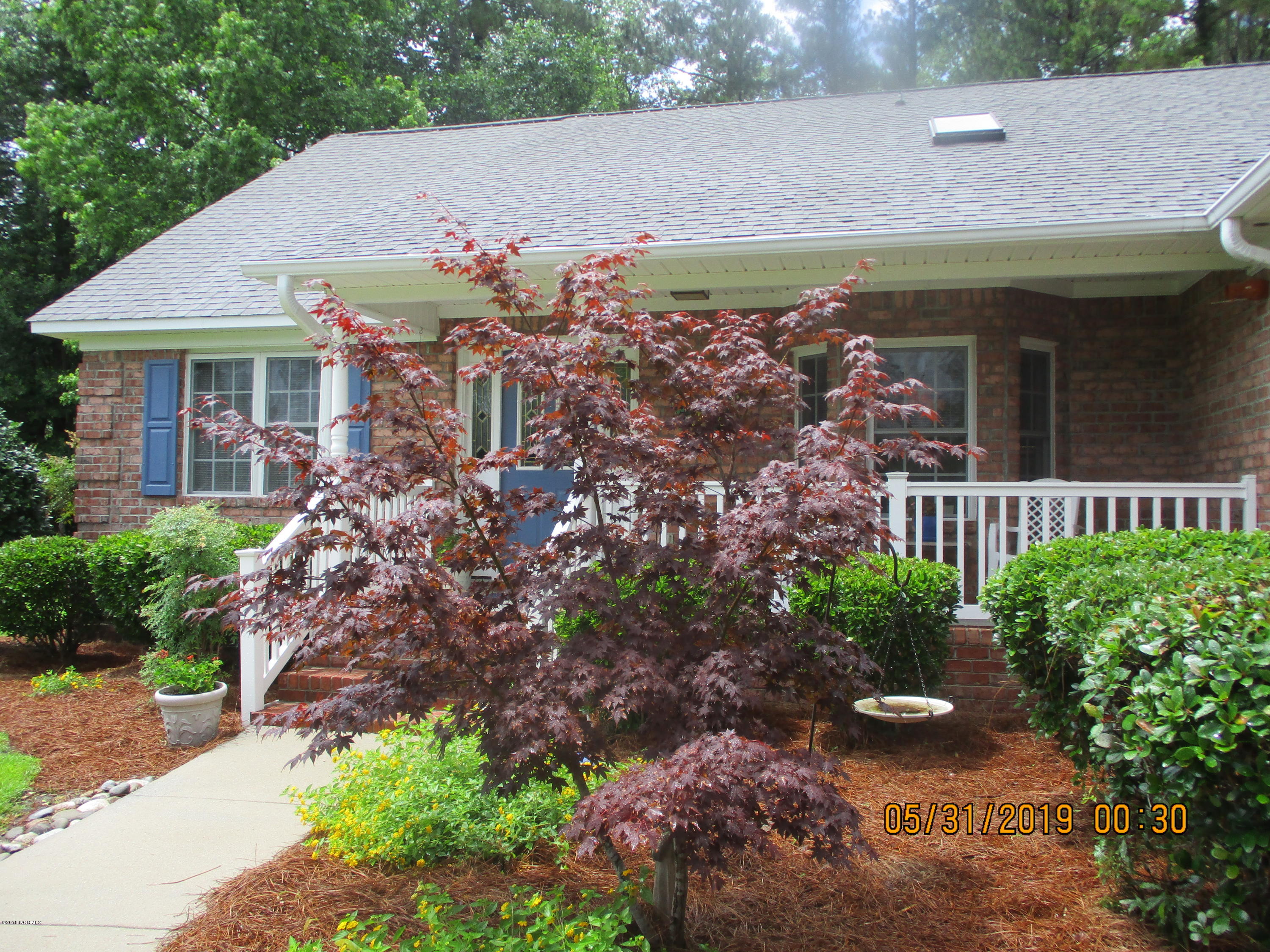 121 Geneva Road New Bern, NC 28562 - Photo 36 of 39 Nice Japanese Maple