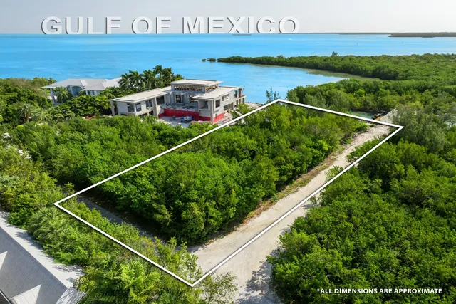 a view of a back yard of the house and green space