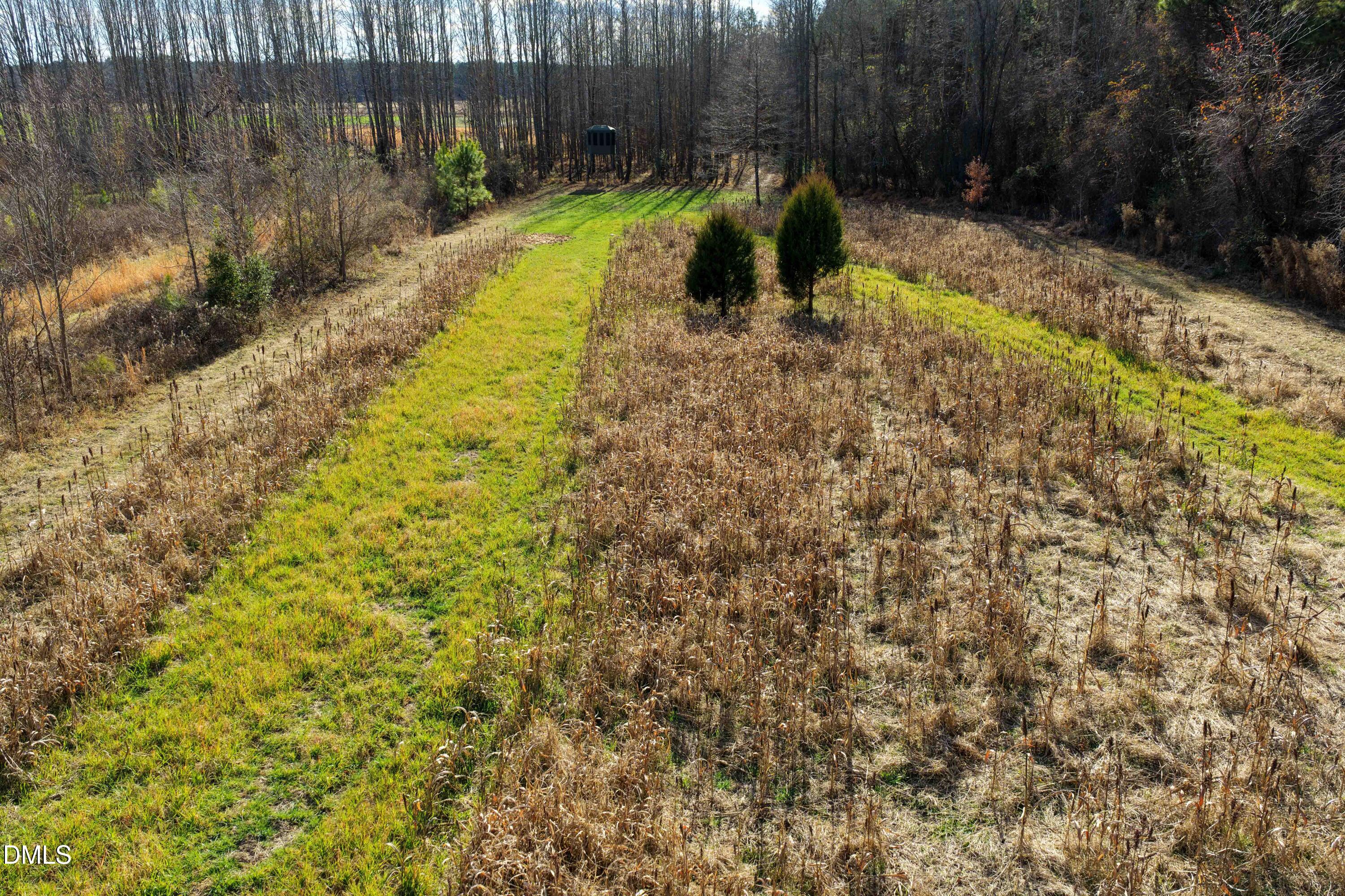 2729 McNeill Hobbs Road Bunnlevel, NC 28323 - Photo 19 of 75 021