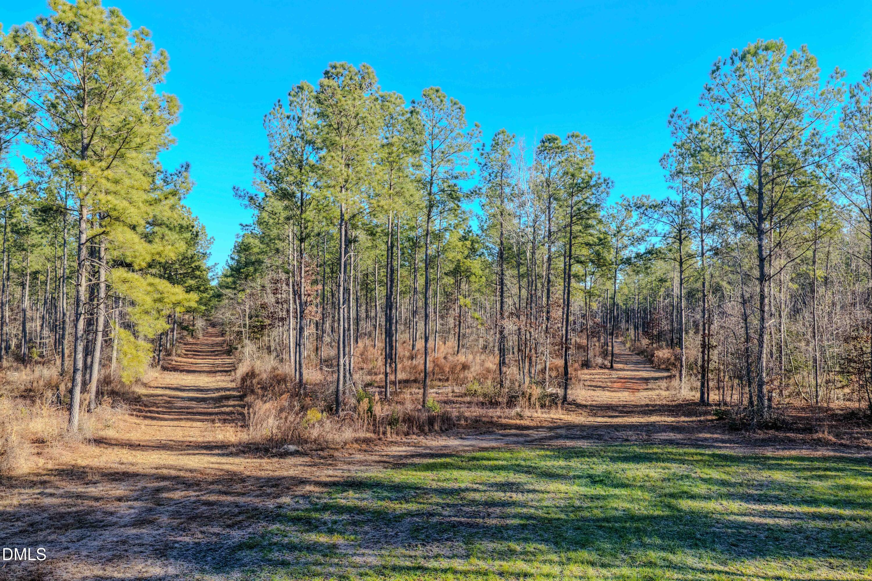 2729 McNeill Hobbs Road Bunnlevel, NC 28323 - Photo 21 of 75 023