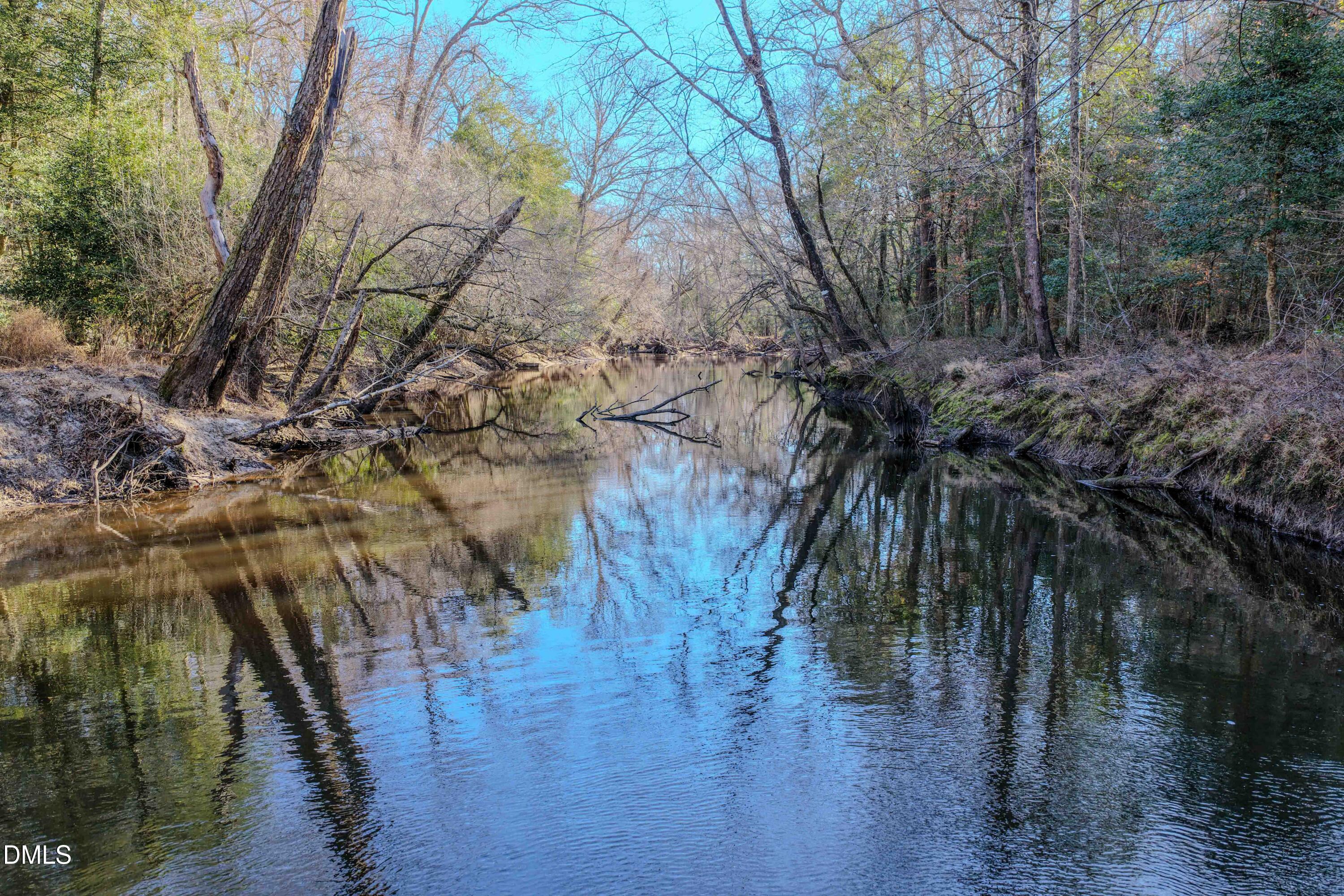 2729 McNeill Hobbs Road Bunnlevel, NC 28323 - Photo 23 of 75 a view of a yard with plants and trees