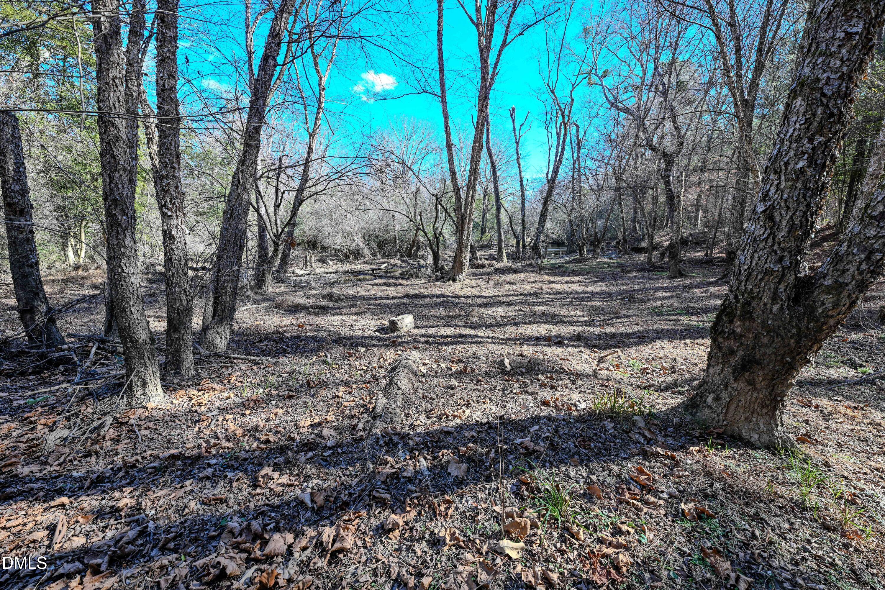 2729 McNeill Hobbs Road Bunnlevel, NC 28323 - Photo 24 of 75 a view of yard with green space