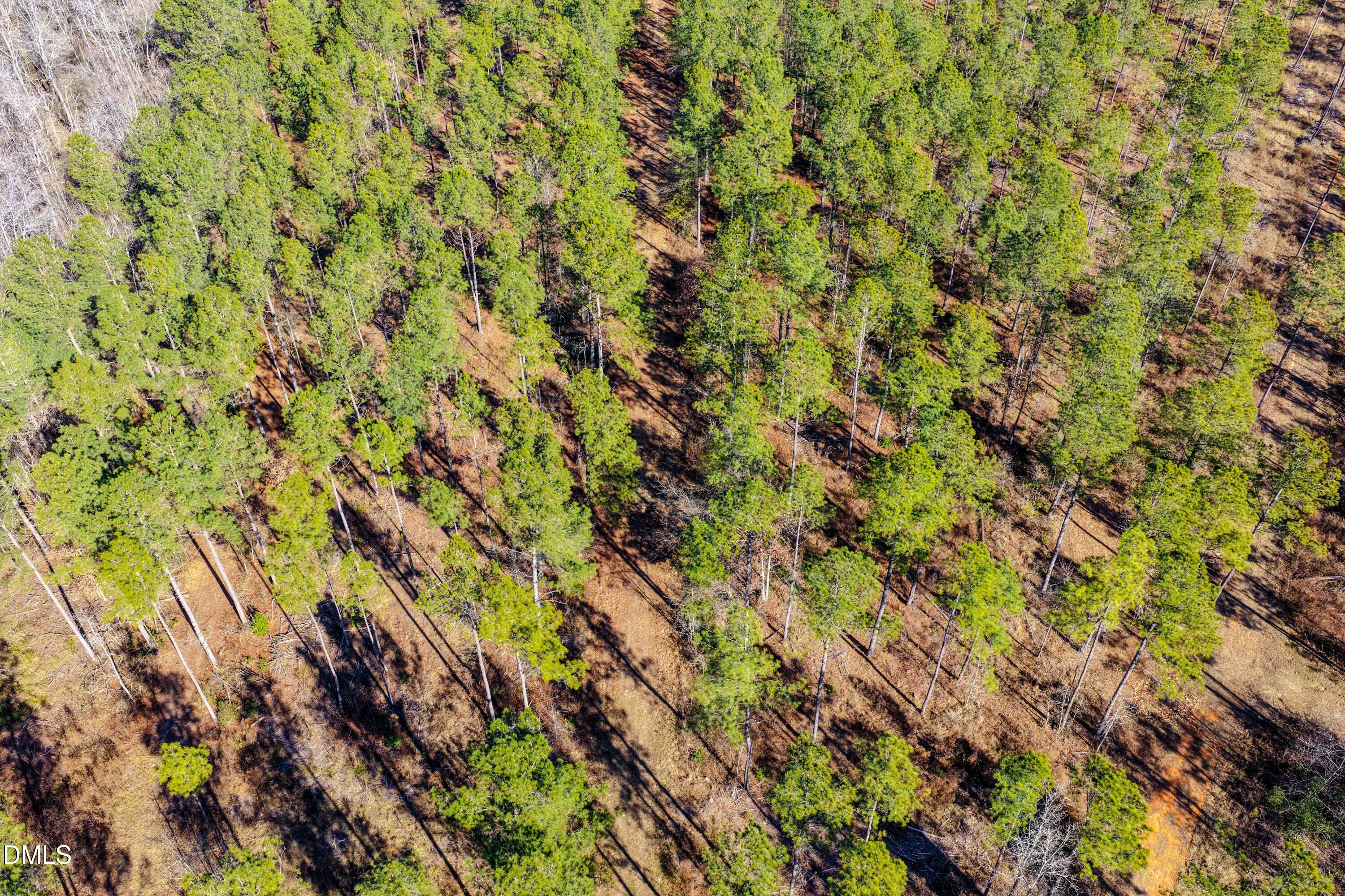 2729 McNeill Hobbs Road Bunnlevel, NC 28323 - Photo 27 of 75 a view of a tree with a plant