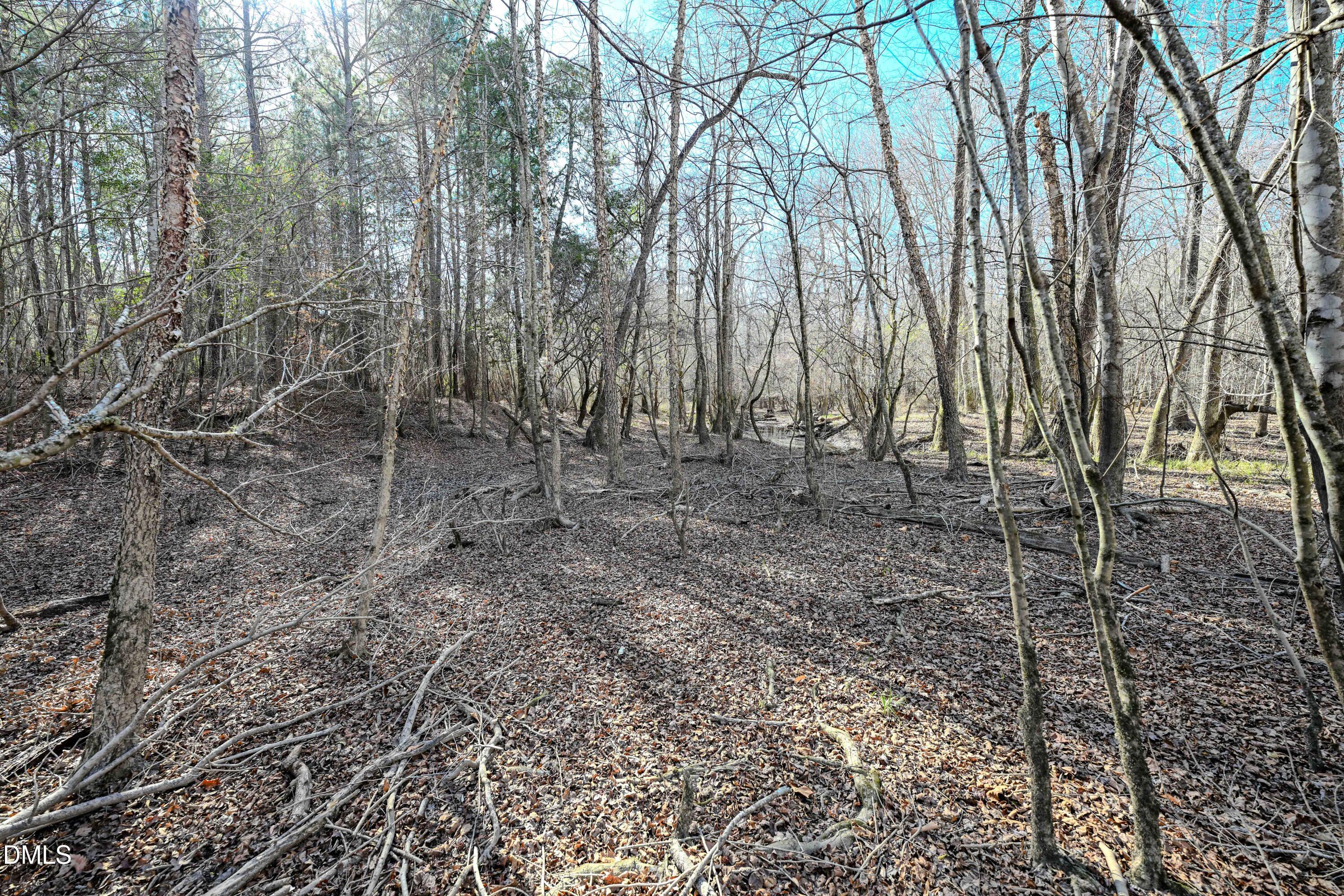 2729 McNeill Hobbs Road Bunnlevel, NC 28323 - Photo 28 of 75 a view of a yard with large trees
