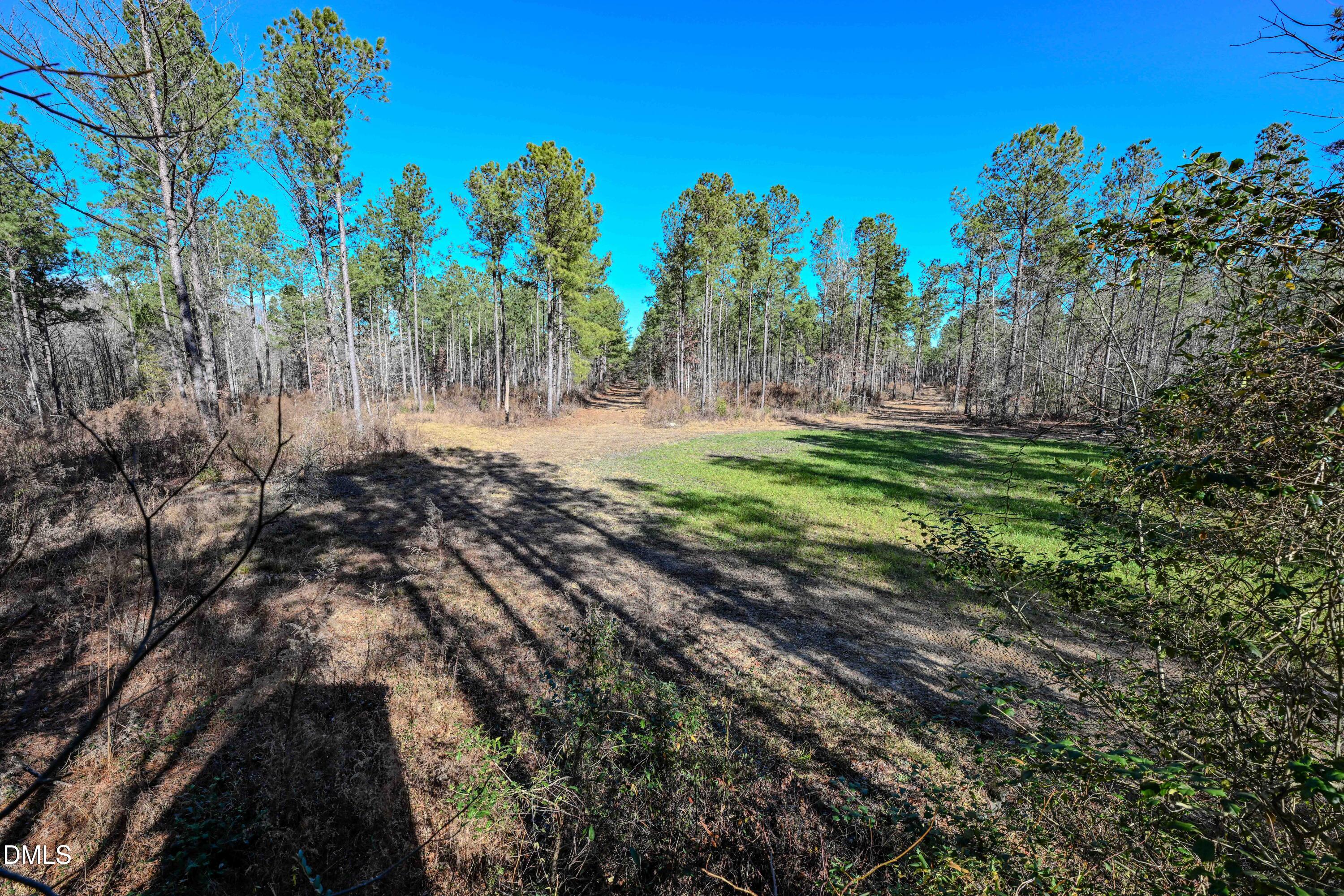2729 McNeill Hobbs Road Bunnlevel, NC 28323 - Photo 29 of 75 a backyard of a house with lots of green space