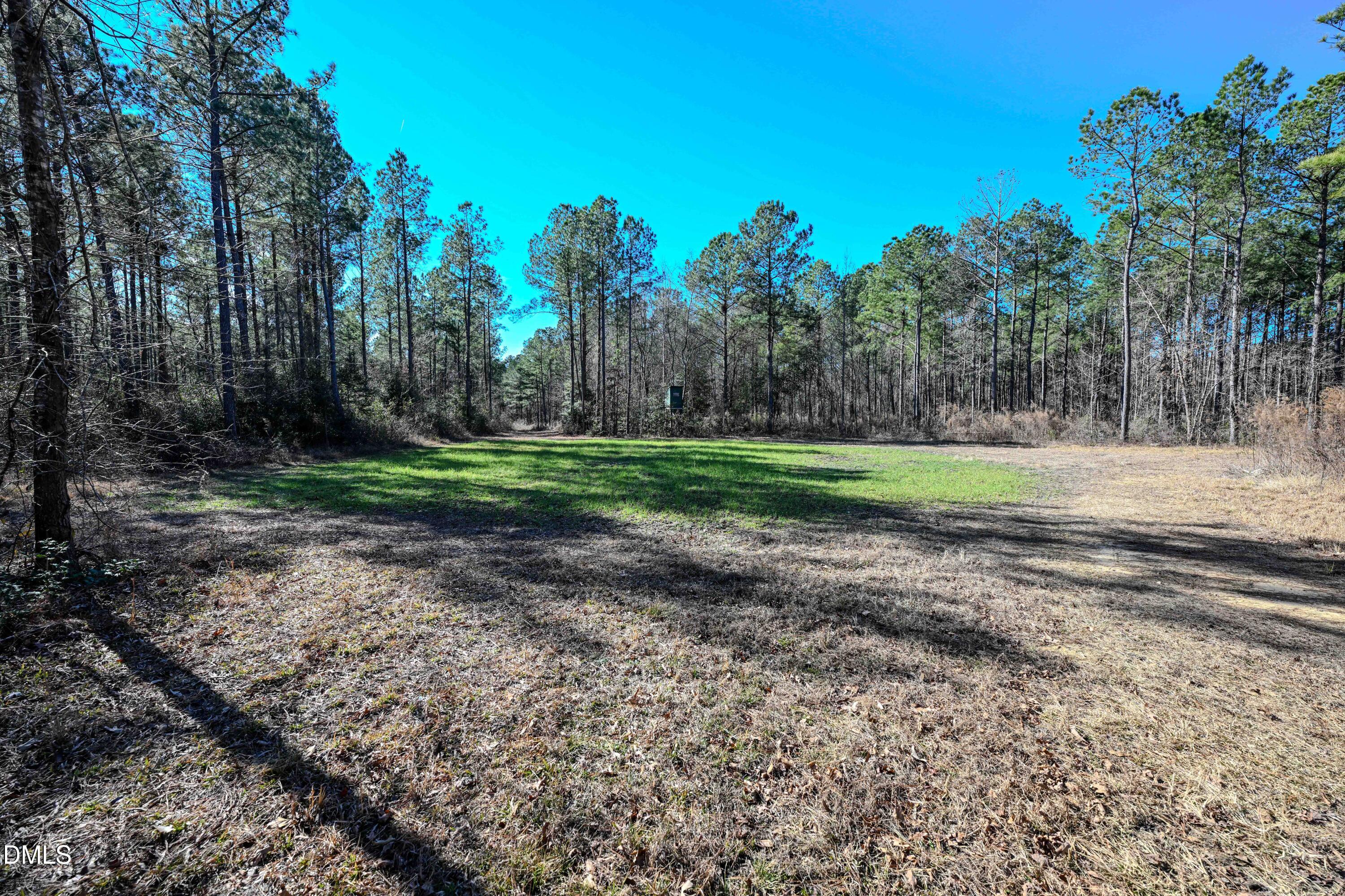 2729 McNeill Hobbs Road Bunnlevel, NC 28323 - Photo 31 of 75 a view of a park