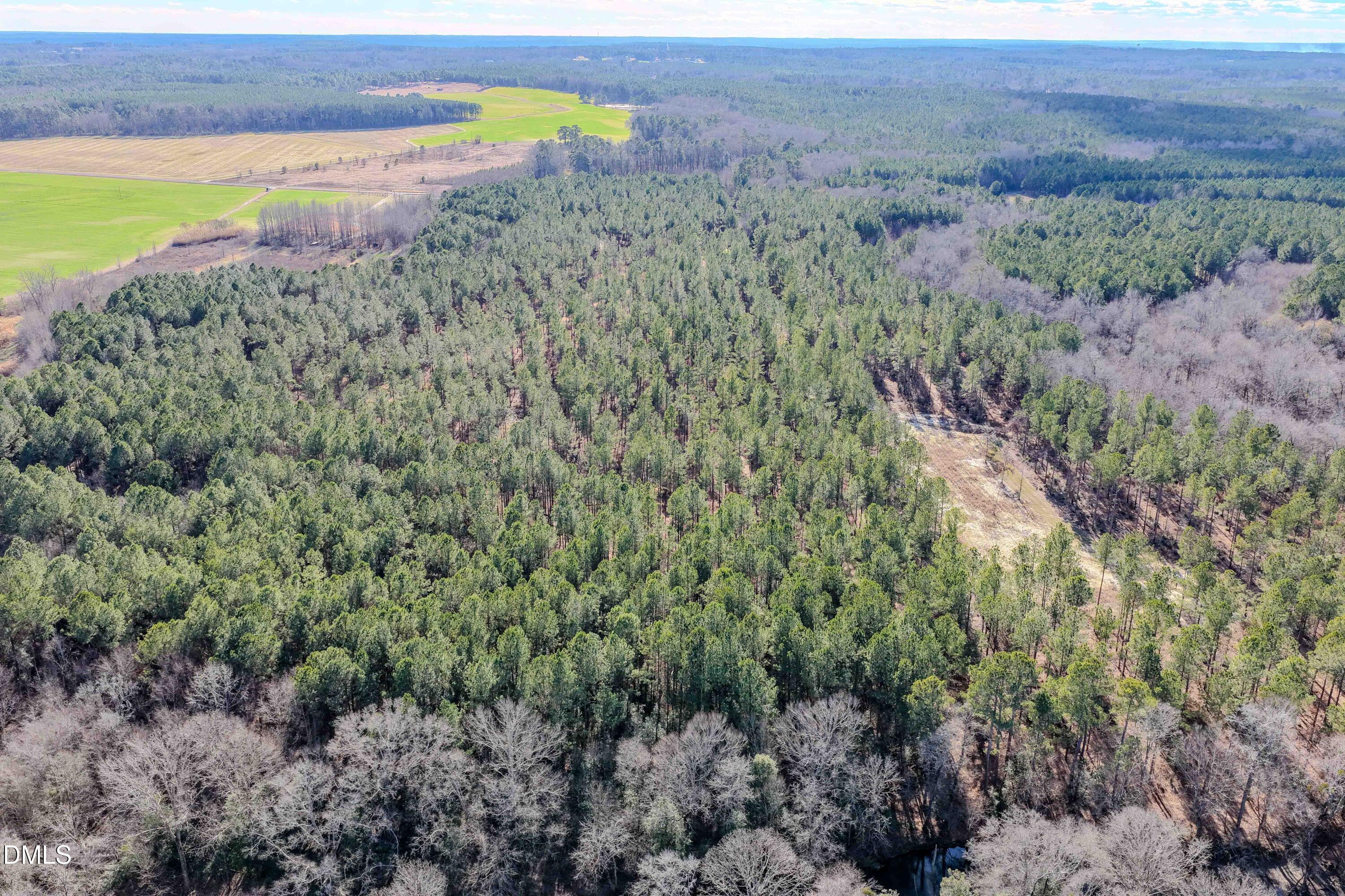 2729 McNeill Hobbs Road Bunnlevel, NC 28323 - Photo 33 of 75 a view of a field with an ocean and trees