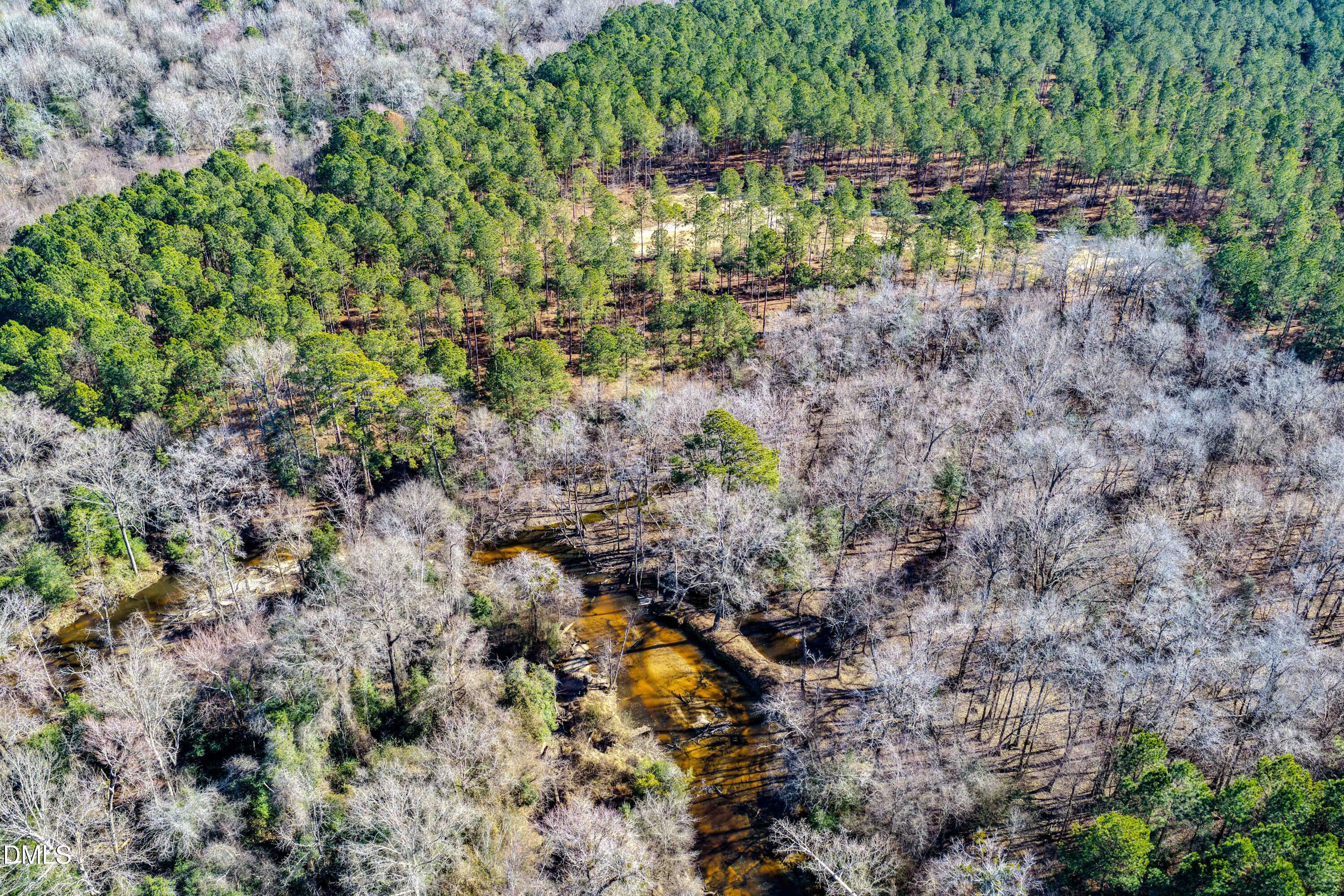 2729 McNeill Hobbs Road Bunnlevel, NC 28323 - Photo 38 of 75 a view of a yard with a tree
