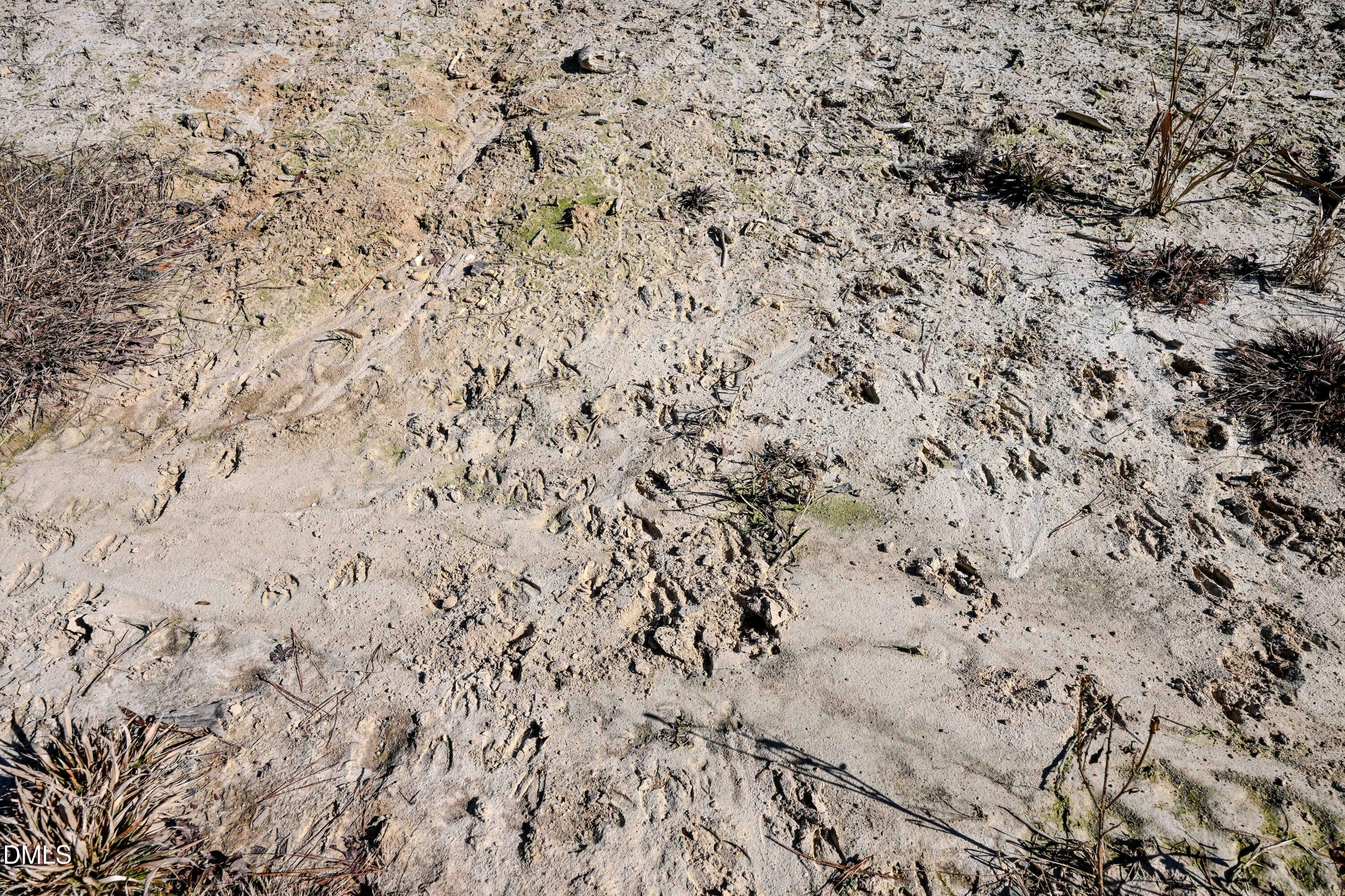 2729 McNeill Hobbs Road Bunnlevel, NC 28323 - Photo 44 of 75 045