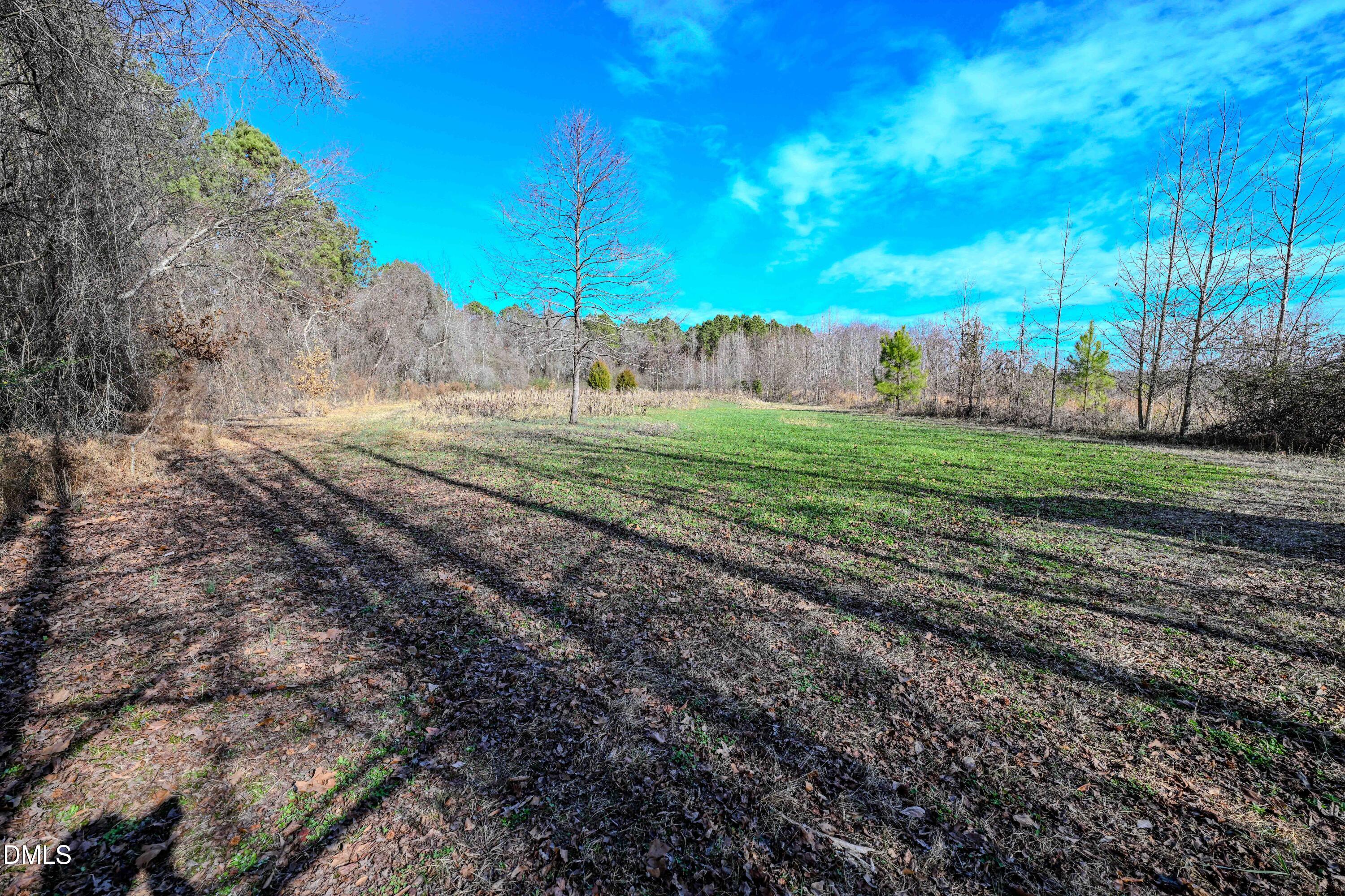 2729 McNeill Hobbs Road Bunnlevel, NC 28323 - Photo 48 of 75 a view of a yard
