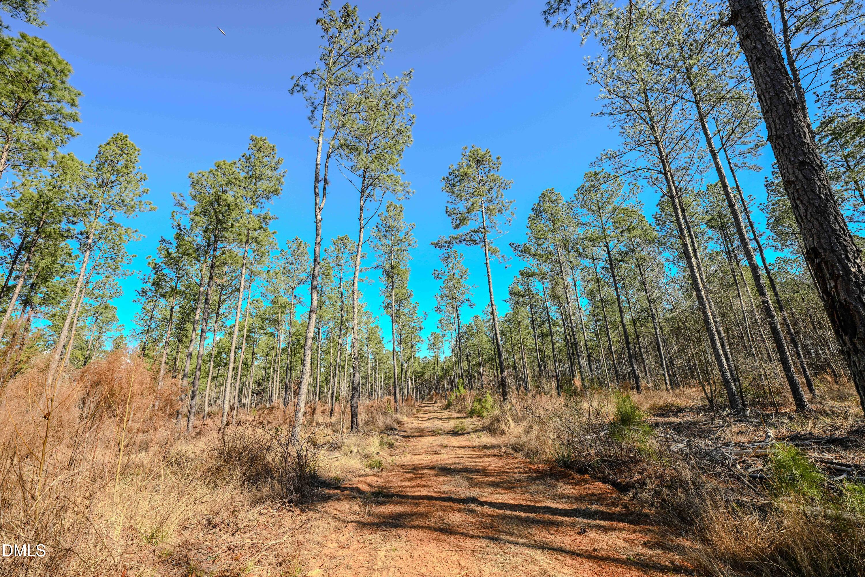 2729 McNeill Hobbs Road Bunnlevel, NC 28323 - Photo 50 of 75 a view of outdoor space with trees